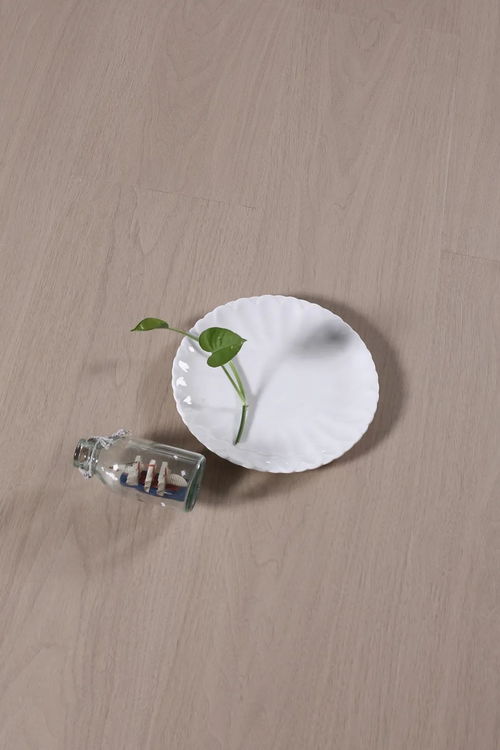 純真系列 肯帝亞地板麥秸畫產(chǎn)品圖賞析